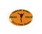 1938 Orange Bowl Press Room Pin. Auburn Tigers vs Michigan State Spartans.