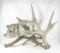 Hand Crafted Moose or Elk Antler Artwork Display Moose Scene By Wildlife Ar