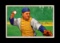 1952 Bowman ROOKIE Baseball Card #197 Rookie Charlie Silvera New York Yanke