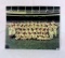 1980s Photo of The 1950s Milwaukee Braves Baseball Team 8 x 10