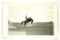 46.  RPPC:  1930’s / 1940’s Wolf Point (Montana) Stampede Brown Shirt Rider