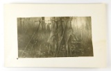 136.   1940’s RPPC at Arneson Deer Camp with six Whitetail Bucks hanging ne