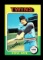 1975 Topps Baseball Card #151 Steve Brye Minnesota Twins Blank Back Error.