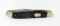Winchester Germany 305 Muskrat Jack Knife. 