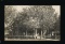 AMHERST:  1908 RPPC of the Lovely and amply Shaded home of P. N. Peterson a