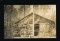 ARBOR VIATE:  1910 RPPC Emile Cousineau writes:  This is a new member recei