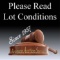 PLEASE NOTE ABOUT CONDITIONS: Conditions on any item in this auction, are t