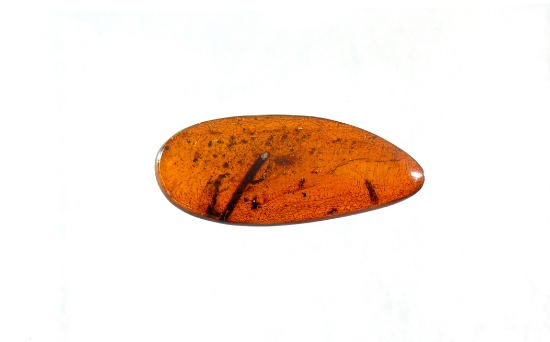 Nice 2 3/8" Long Baltic Amber Specimen.  It has objects embedded in it.  Wo
