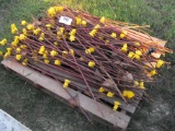 PALLET OF ELECTRIC FENCE POSTS