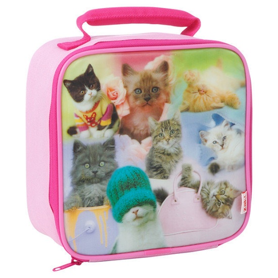 Are you Kitten Me Lunch Box