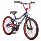 Kids Schwinn Falcon 20