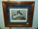 Neal Anderson signed print, Red-Breasted Merganser pair