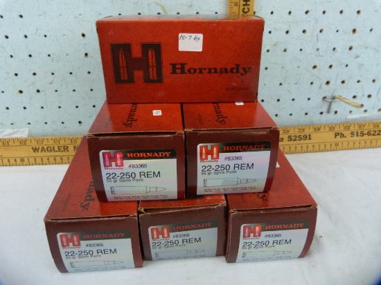 Ammo: 6 boxes/50 Hornady .22-250 Rem, 55 gr, 6x$