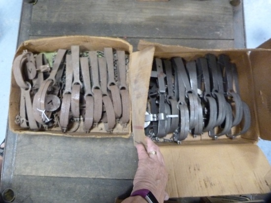 Traps: (23) Victor #1-1/2 long spring traps, 23x$