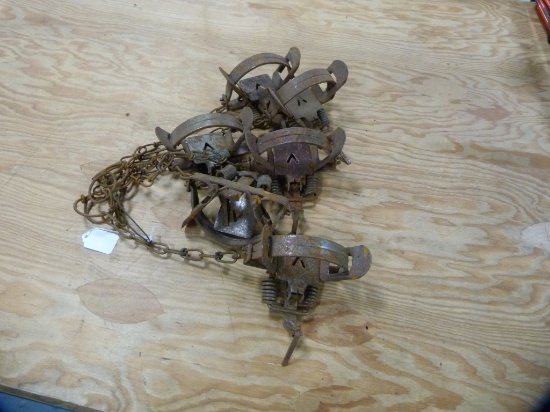 Traps: (6) Victor 1-1/2 coil pinch pan traps, 6x$