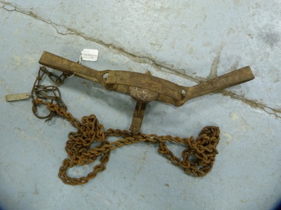 Traps: Oneida Victor #4 wolf trap
