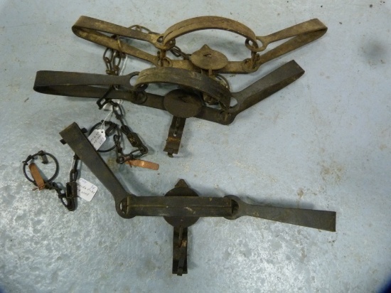 Traps: (3) Oneida Victor #4 wolf traps, 3x$