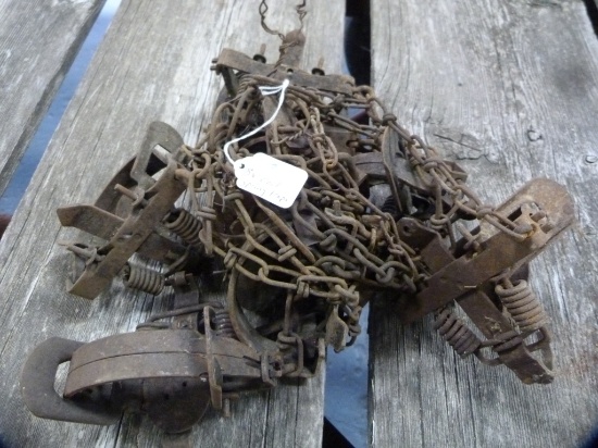 Traps: (8) coil spring traps, 8x$