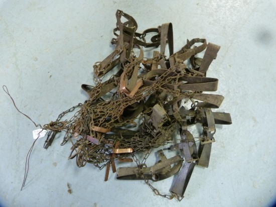 Traps: (24) #1 long spring traps, 24x$