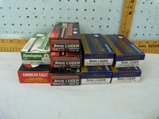 Ammo: 9 boxes/50 (short 3), 9 mm Luger, 9x$