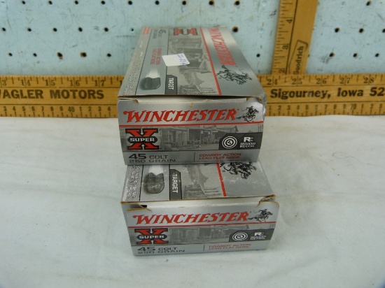 Ammo: 2 boxes/50 Winchester 45 Colt, 250 gr, 2x$
