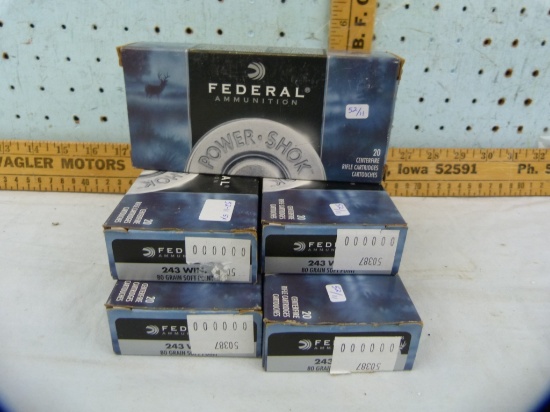 Ammo: 5 boxes/20 Federal .243 Win, 80 gr, 5x$