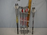 (10) crossbow bolts,