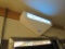 BUG LIGHT
