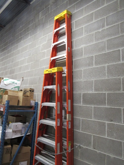 12FT WERNER LADDER