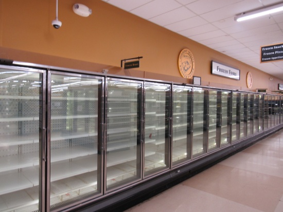 HILL/PHOENIX ORZ FREEZER DOOR CASES 2010 - SOLD BY THE DOOR - REMOTE COOLED NO COMPRESSOR