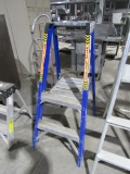 2FT WERNER LADDER
