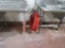 RED HOSE
