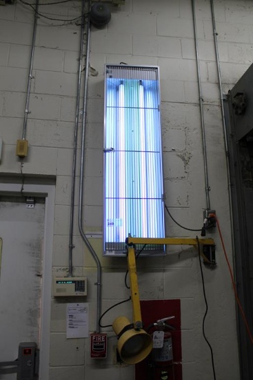 BUG LIGHT