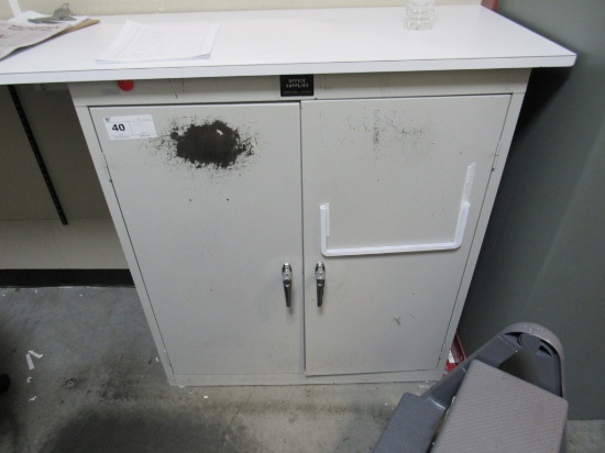 2-DOOR METAL STORAGE CABINET