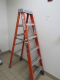 6FT LADDER