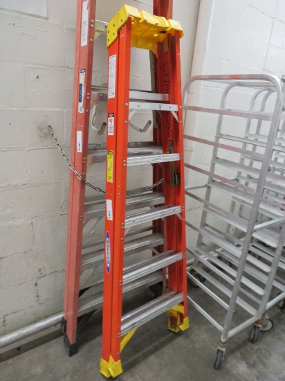 6ft Ladder