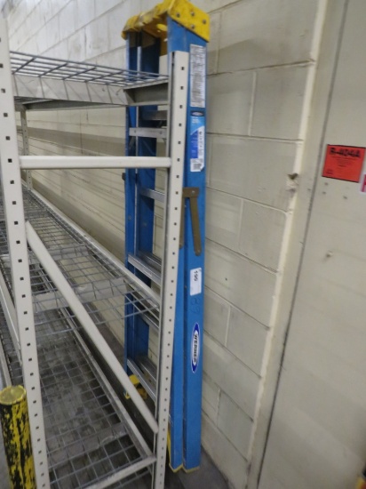 6ft Werner Ladder