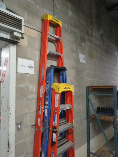 10ft Werner Ladder