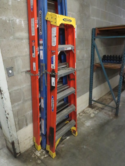 6ft Werner Ladder