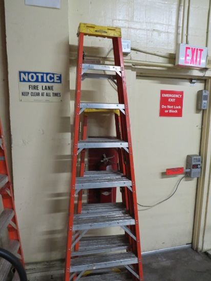 8ft Werner Ladder