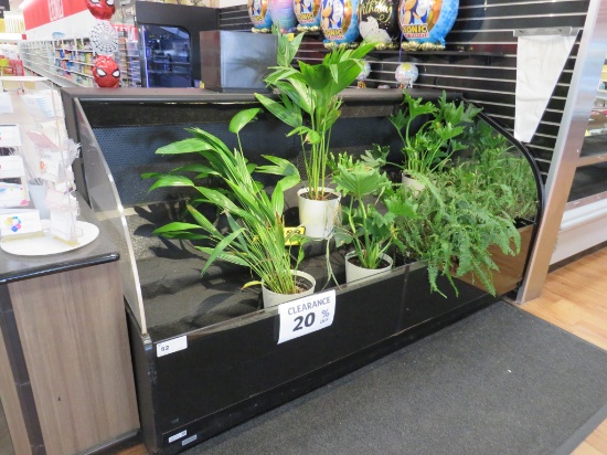 8ft Structural Concepts Self-Contained Floral Case