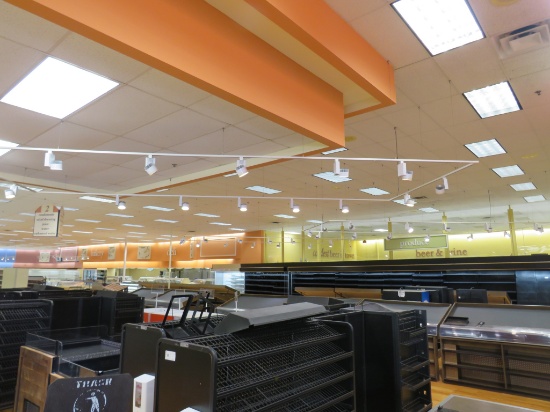 Led Track Lights (Track Included)