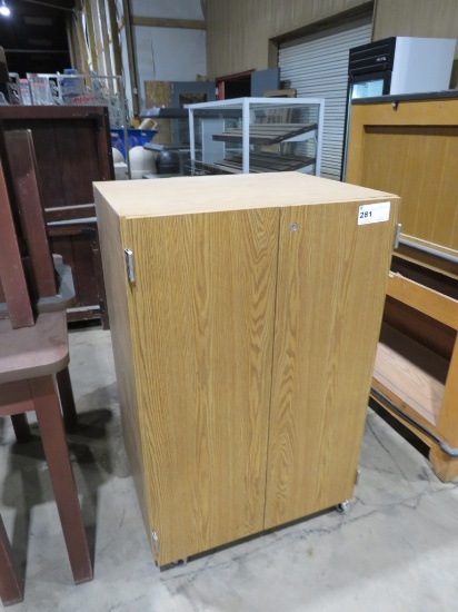 30-INCH 2-DOOR STORAGE CABINET