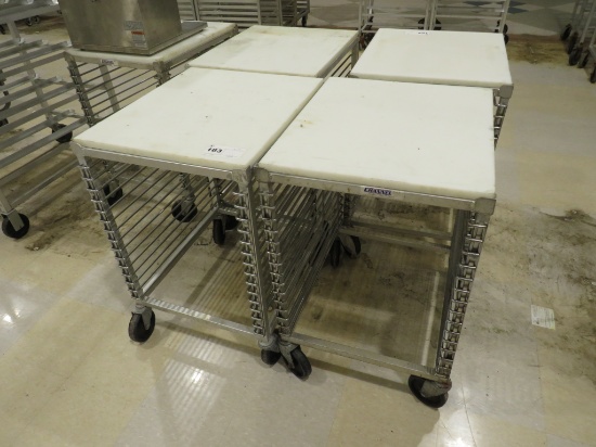 20x24 Polytop Cart With Tray Slides