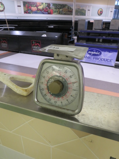 Taylor 32oz Portion Scale