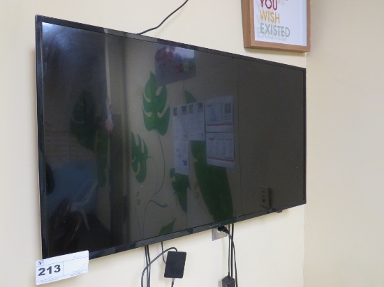 40-Inch Insignia Tv