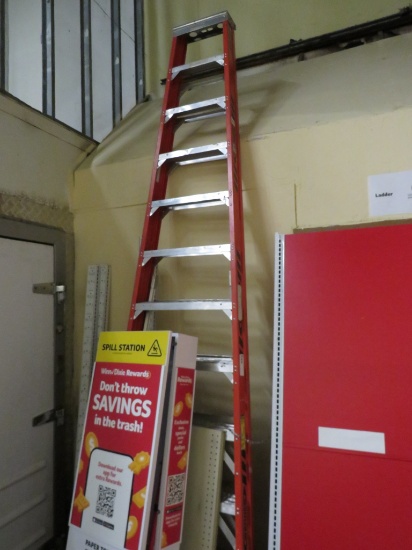 12ft Werner Ladder