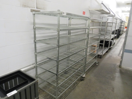 24X48 CHROME STORAGE RACKS