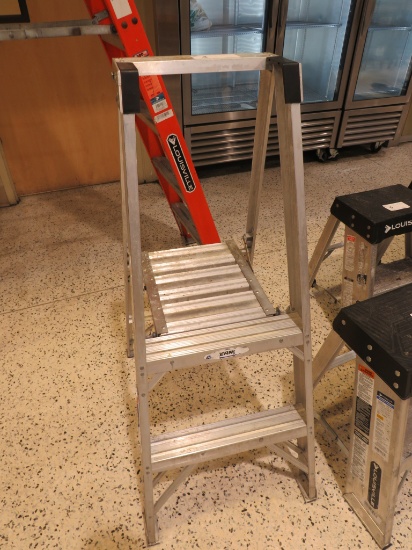 2FT WERNER LADDER