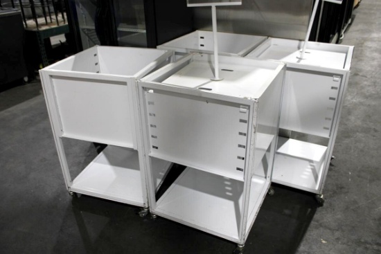 1 LOT - (4)2FTX2FT BULK BIN DISPLAYS